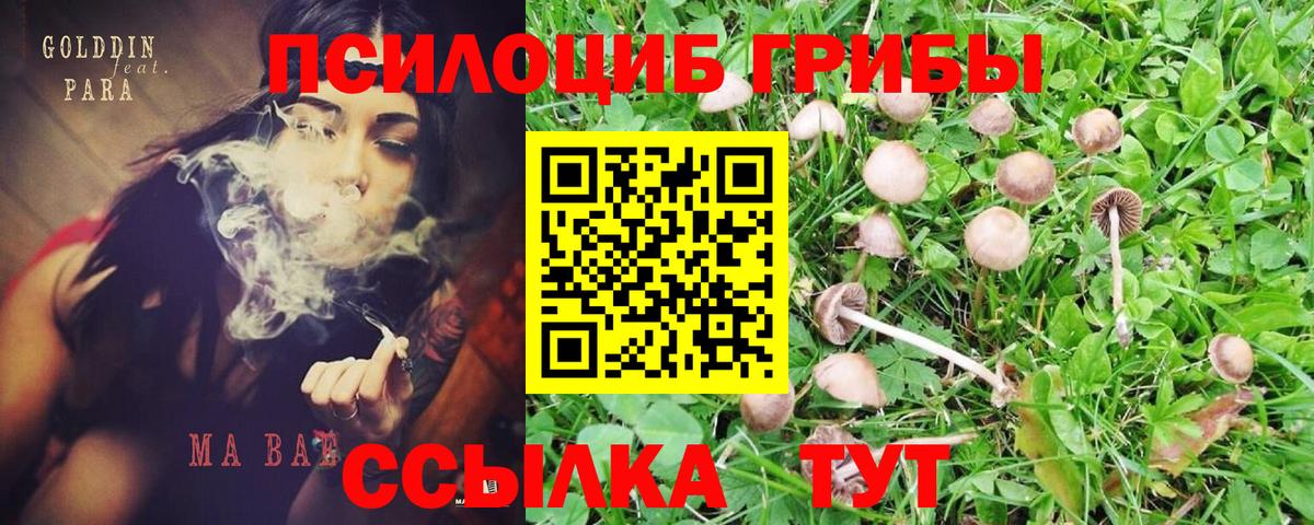 Галлюциногенные грибы MAGIC MUSHROOMS Пушкино