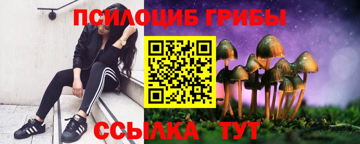 Пушкино  Псилоцибиновые грибы GOLDEN TEACHER  Вход с VPN 
